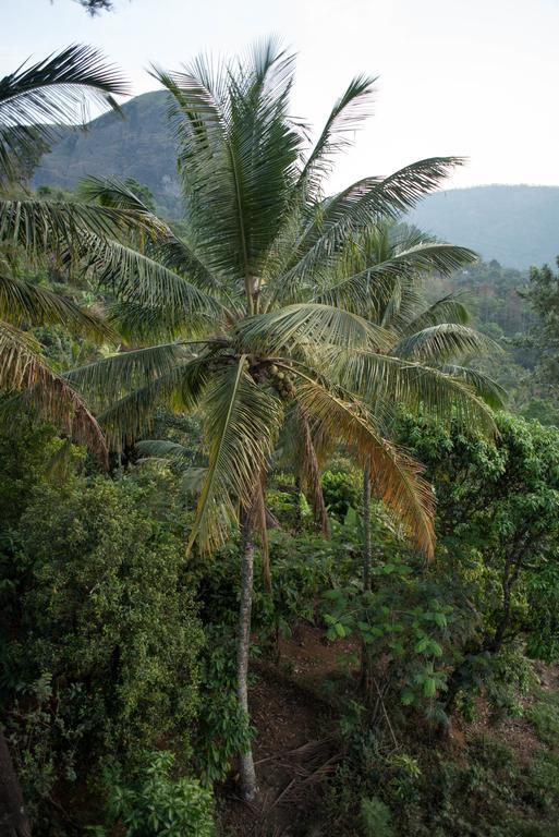 View Valley Homestay Munnar Exterior foto
